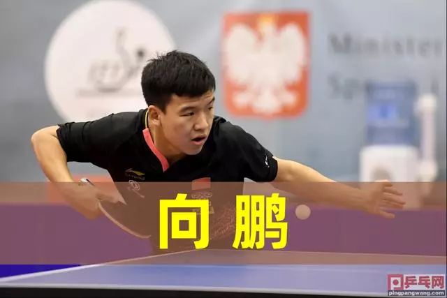 体表现无疑 体表现无疑