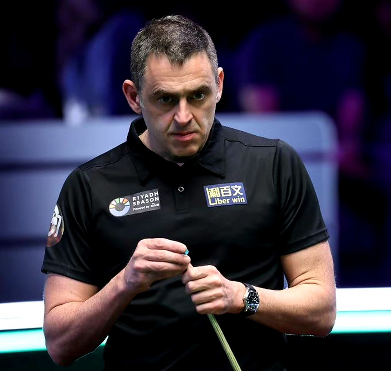 他们以两条 他们以两条