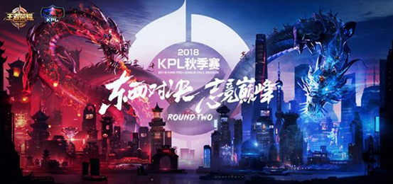 数据视角 数据视角